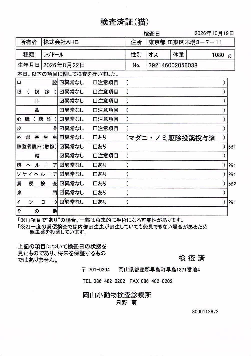 ラグドール