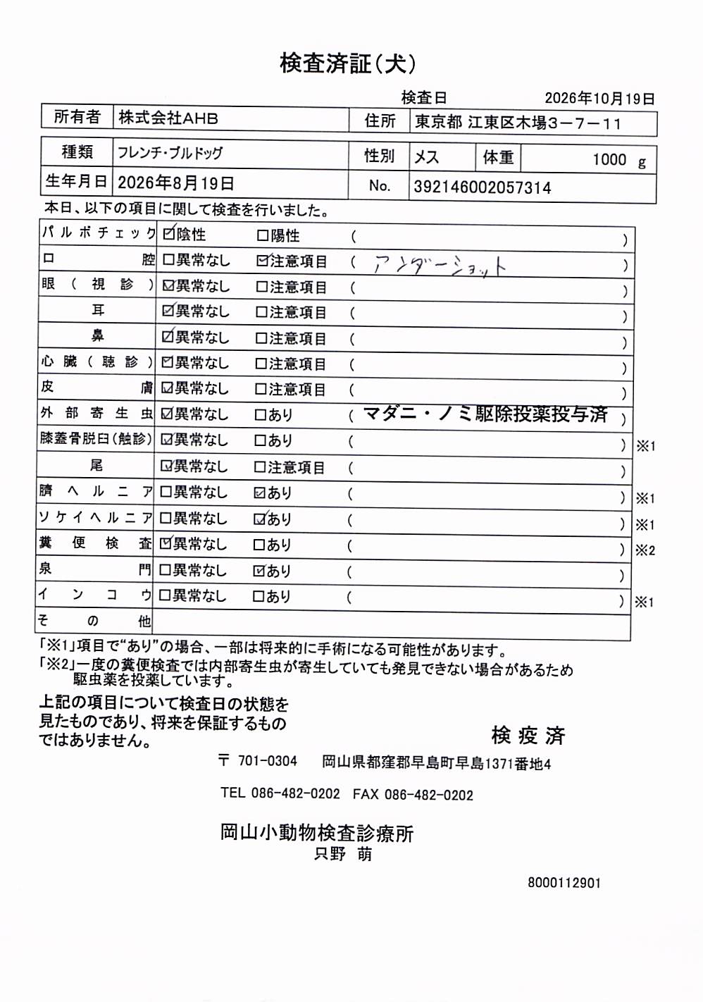 フレンチ・ブルドッグ