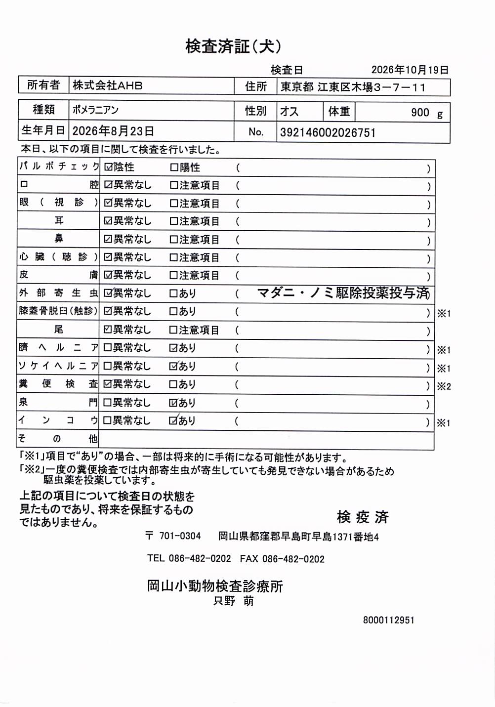 ポメラニアン
