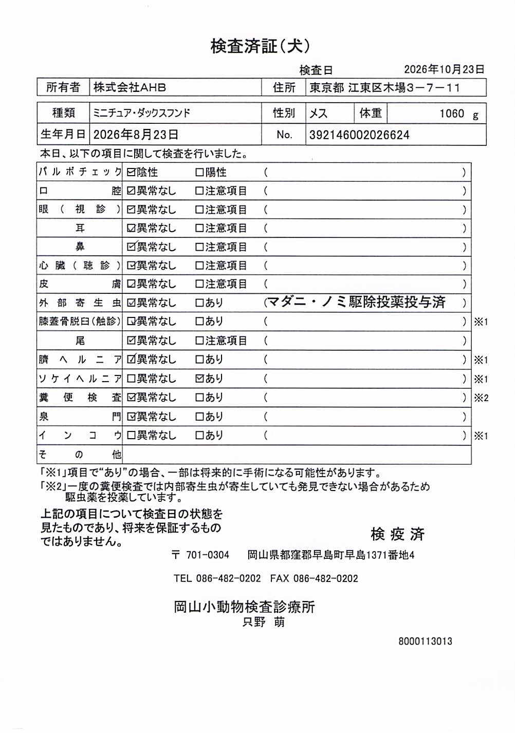 ミニチュア・ダックスフンド