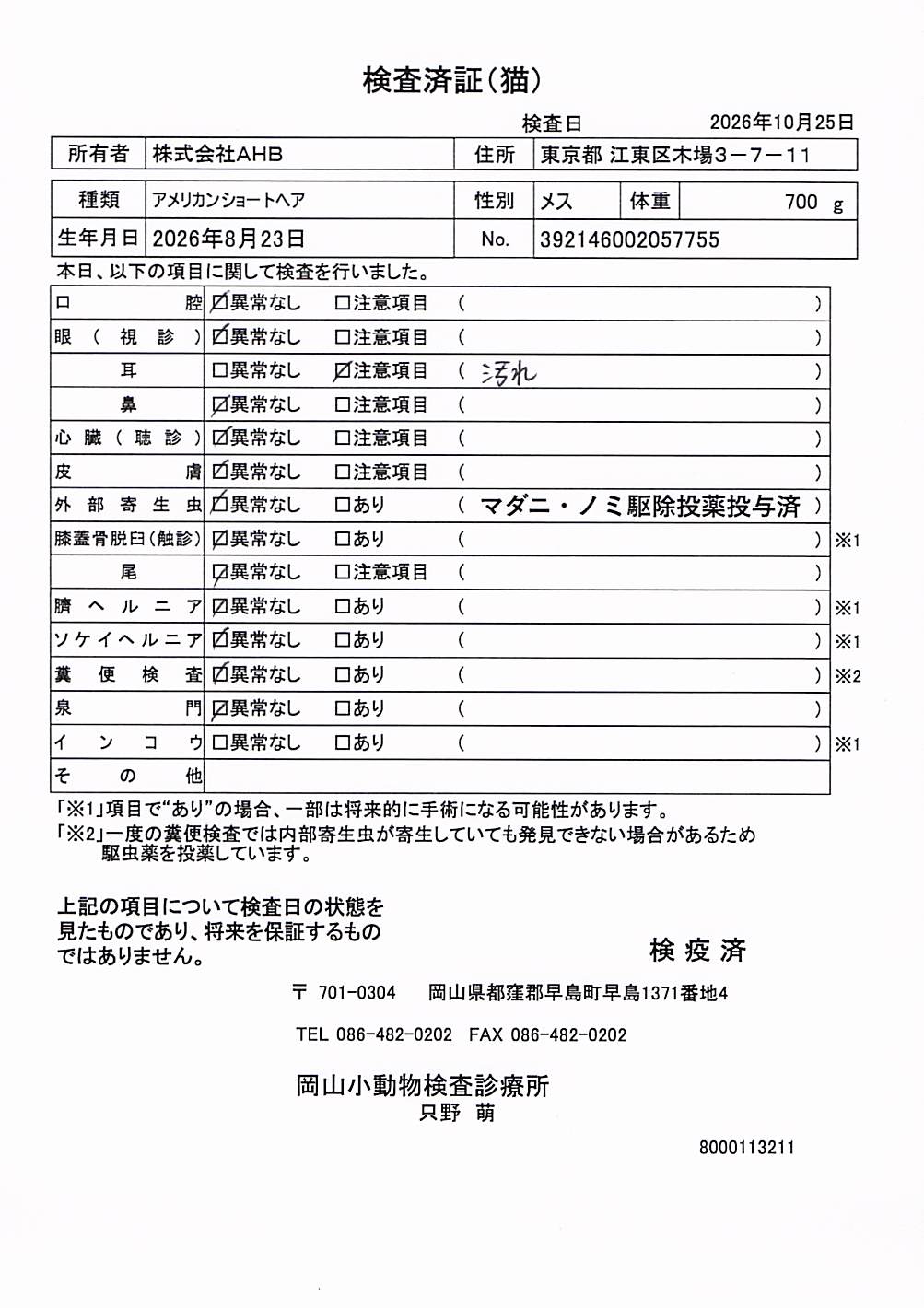 アメリカンショートヘア