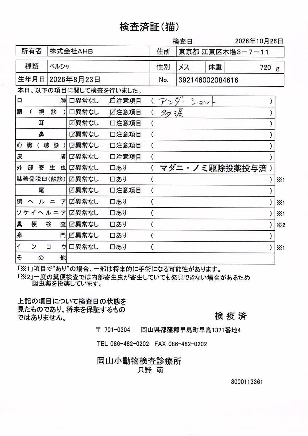 ペルシャ