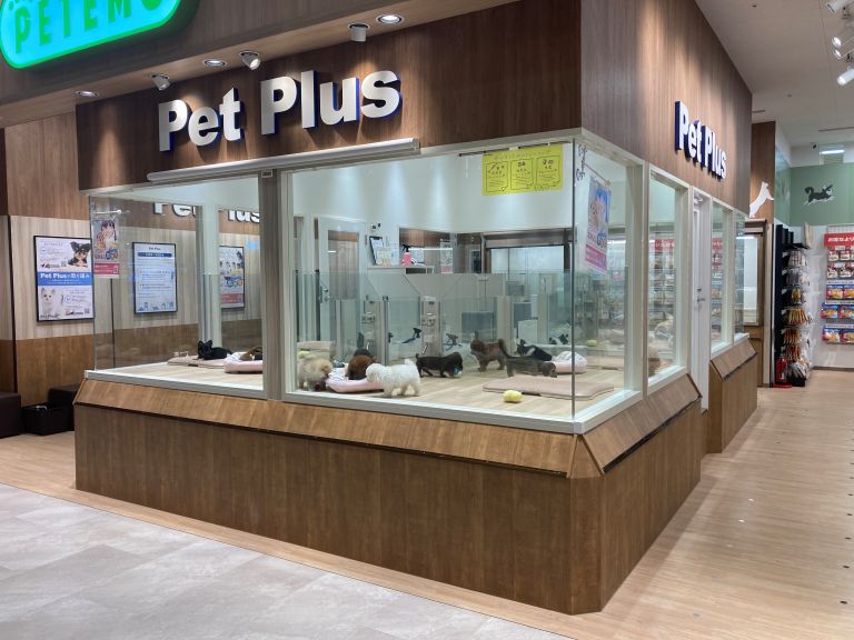 ペットプラス仙台上杉店の店舗写真