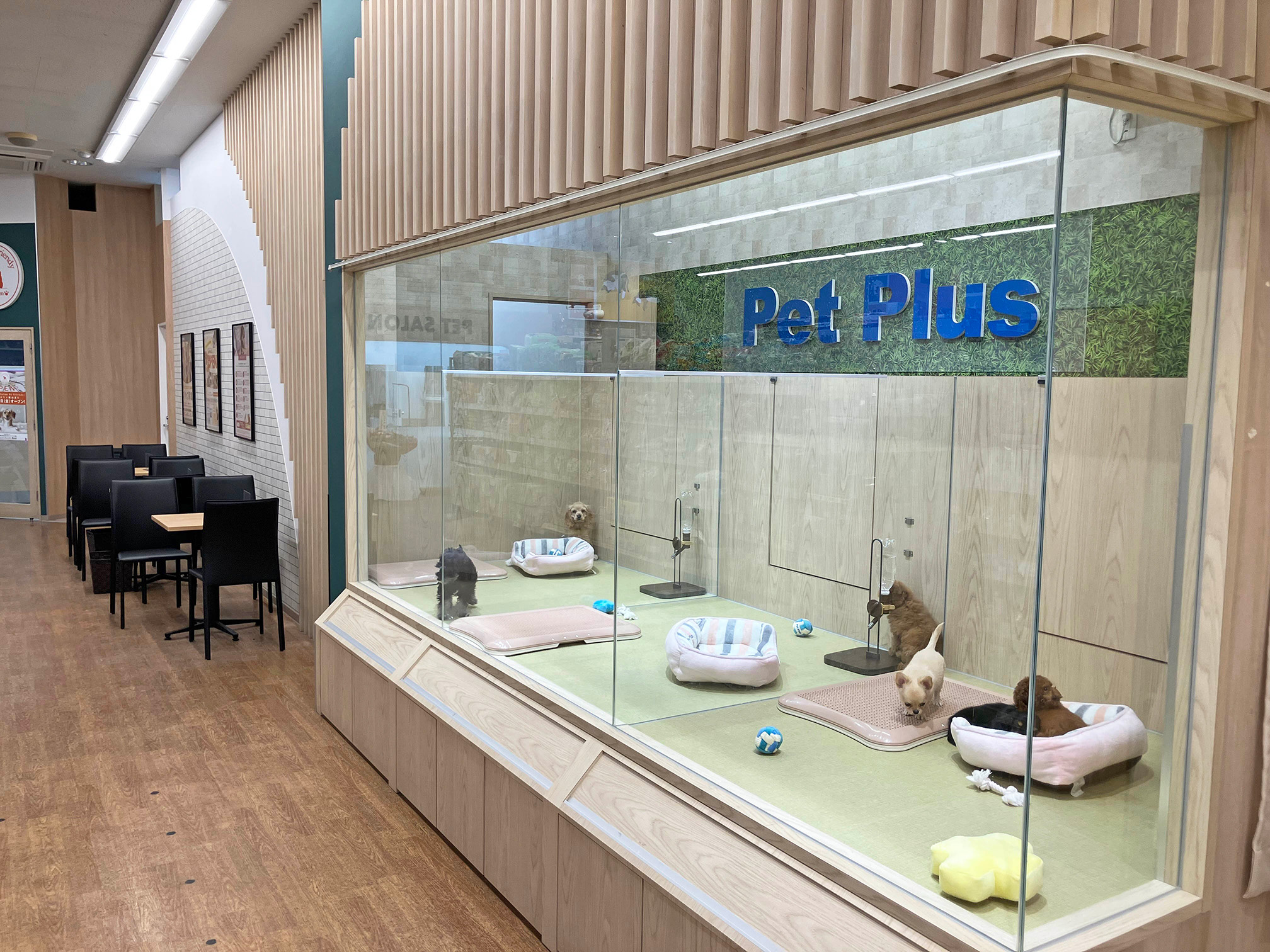 ペットプラス イオンタウン郡山店の写真