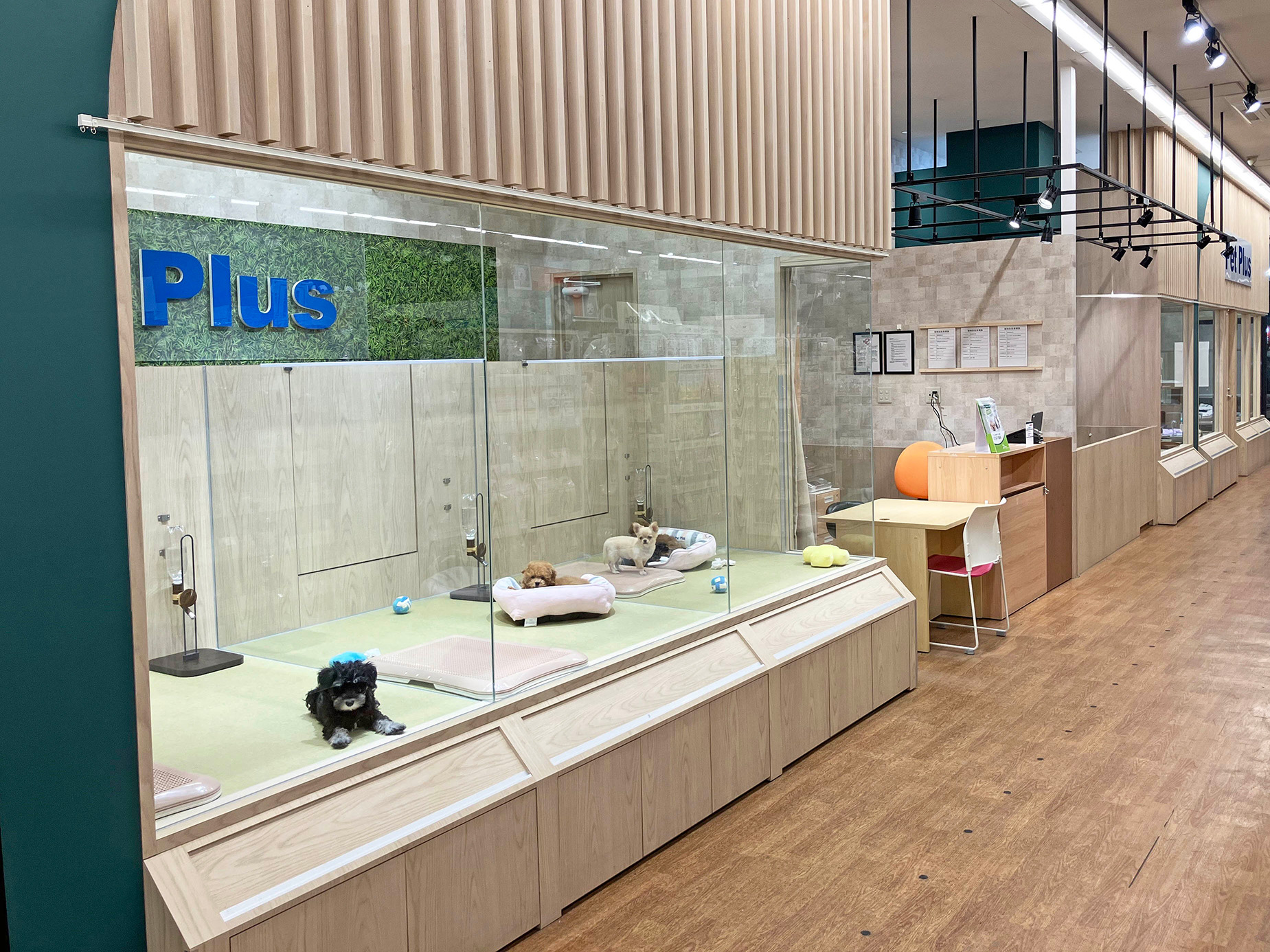 ペットプラス イオンタウン郡山店の写真