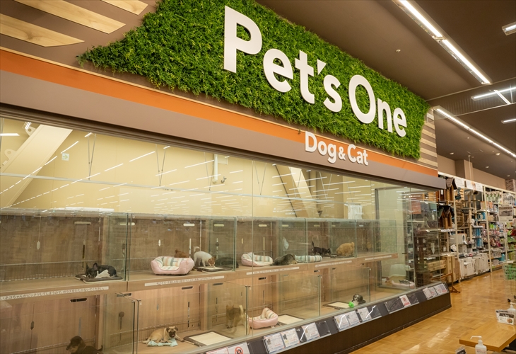 ペッツワン南砂町sunamo店 子犬 子猫専門ペットショップの Petplus ペットプラス