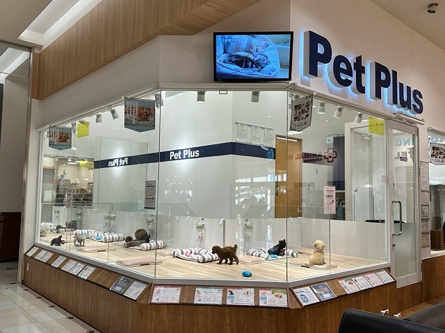 ペットプラス ピオニウォーク東松山店 子犬 子猫専門ペットショップの Petplus ペットプラス