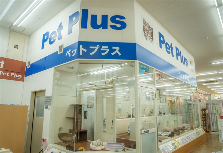 ペットプラス 岩槻店の写真