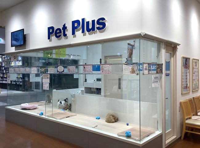 ペットプラス ユーカリが丘店 子犬 子猫専門ペットショップの Petplus ペットプラス