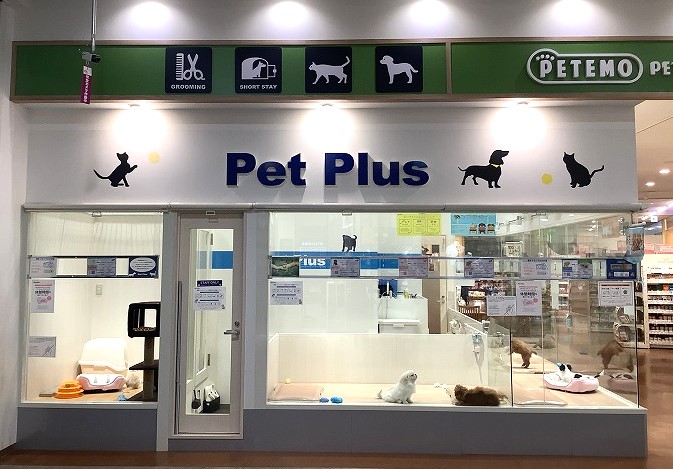 ペットプラス ユーカリが丘店 子犬 子猫専門ペットショップの Petplus ペットプラス