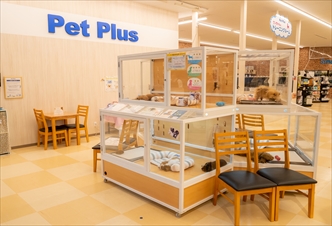 ペットプラス ピアシティ稲毛海岸店 子犬 子猫専門ペットショップの Petplus ペットプラス