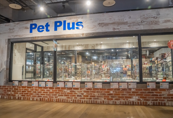 ペットプラス コクーンシティ店 子犬 子猫専門ペットショップの Petplus ペットプラス