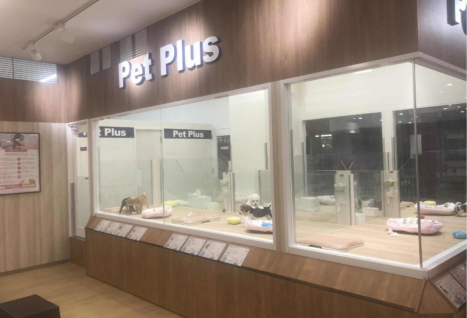 ペットプラス MARK IS 葛飾かなまち店（MARK IS 葛飾かなまち