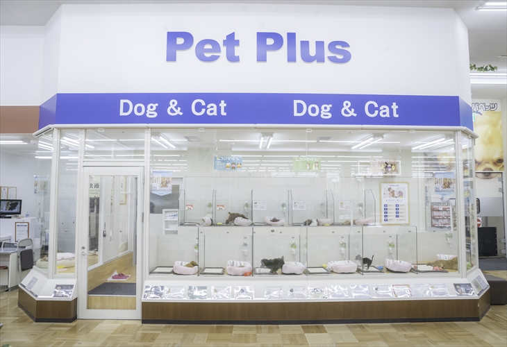 ペットプラス スーパービバホーム名古屋南店 子犬 子猫専門ペットショップの Petplus ペットプラス