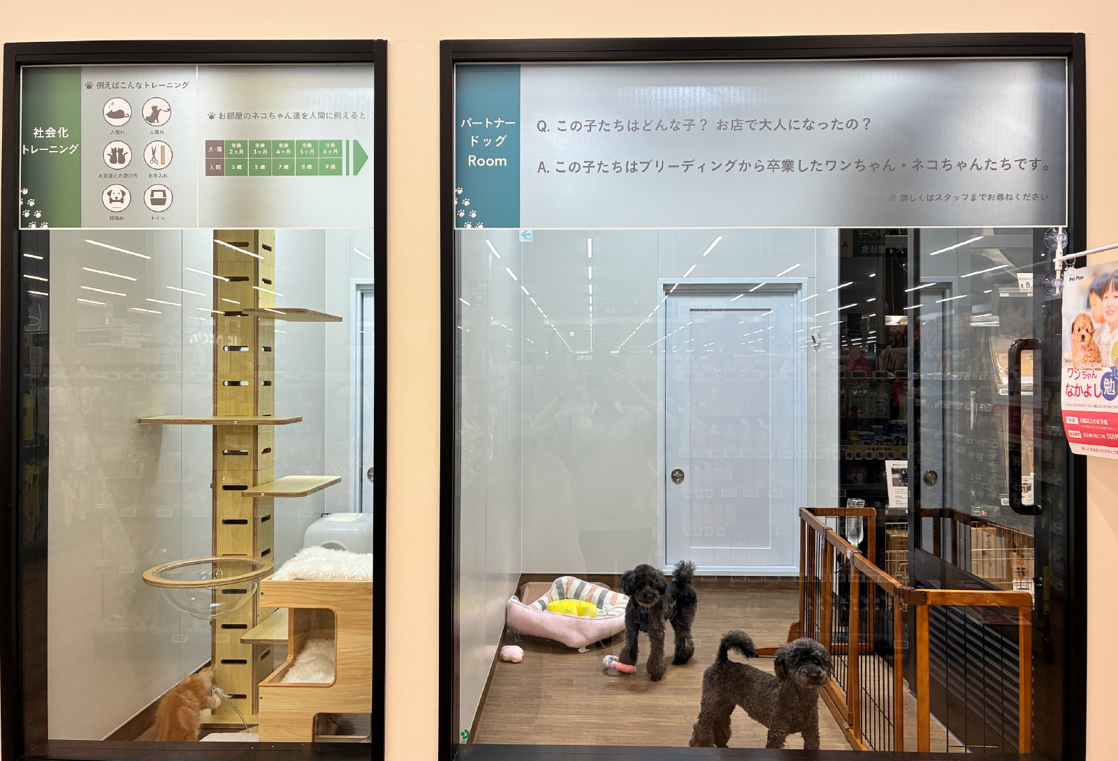 ペッツワン 東海店の写真