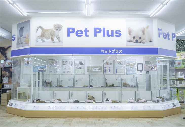 ペットプラス スーパービバホーム寝屋川店 子犬 子猫専門ペットショップの Petplus ペットプラス