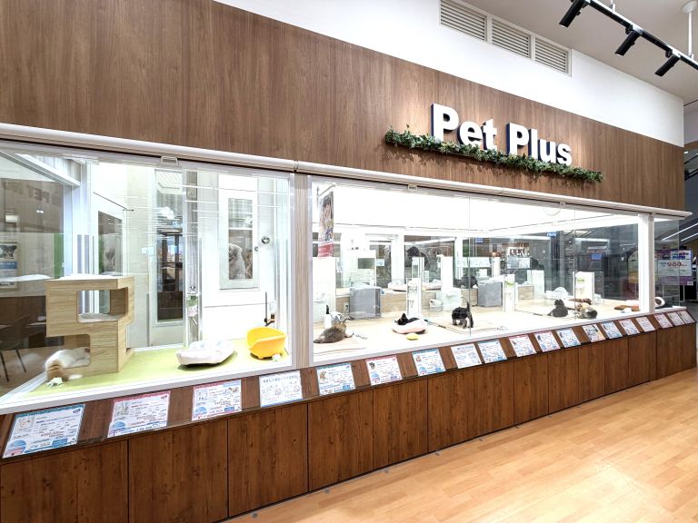 ペットプラス 京都桂川店の写真
