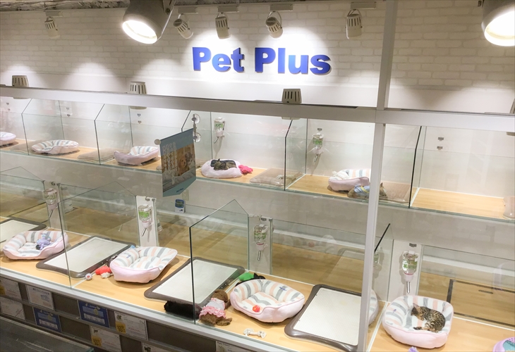 ペットプラス 神戸三宮店の写真