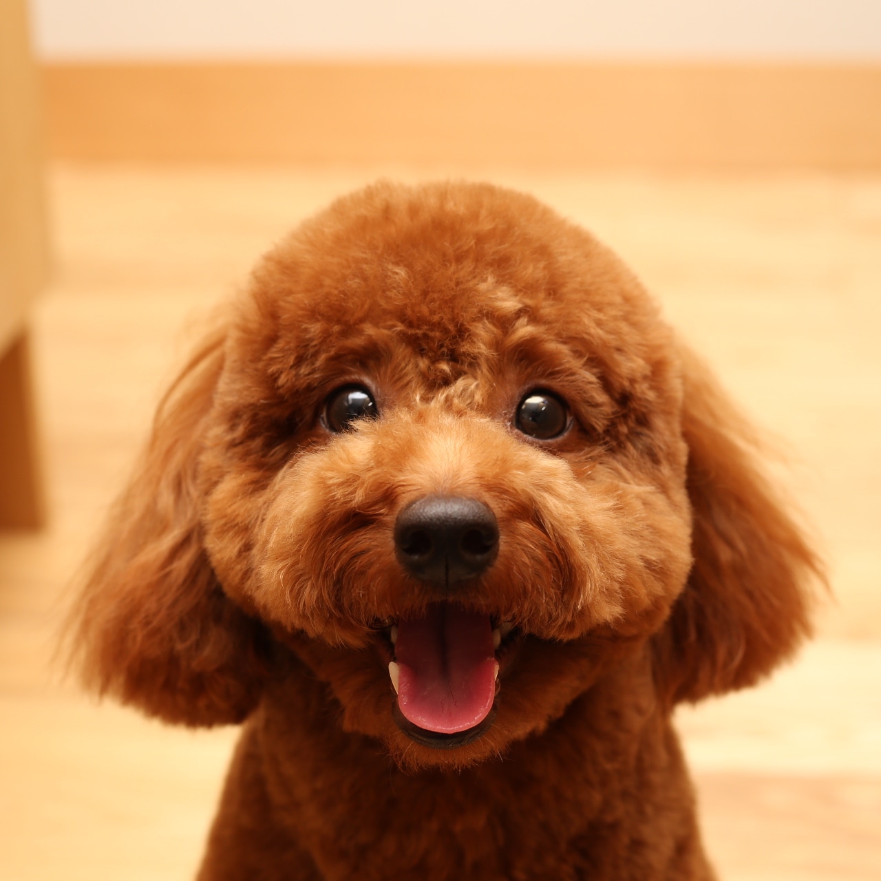 ベル