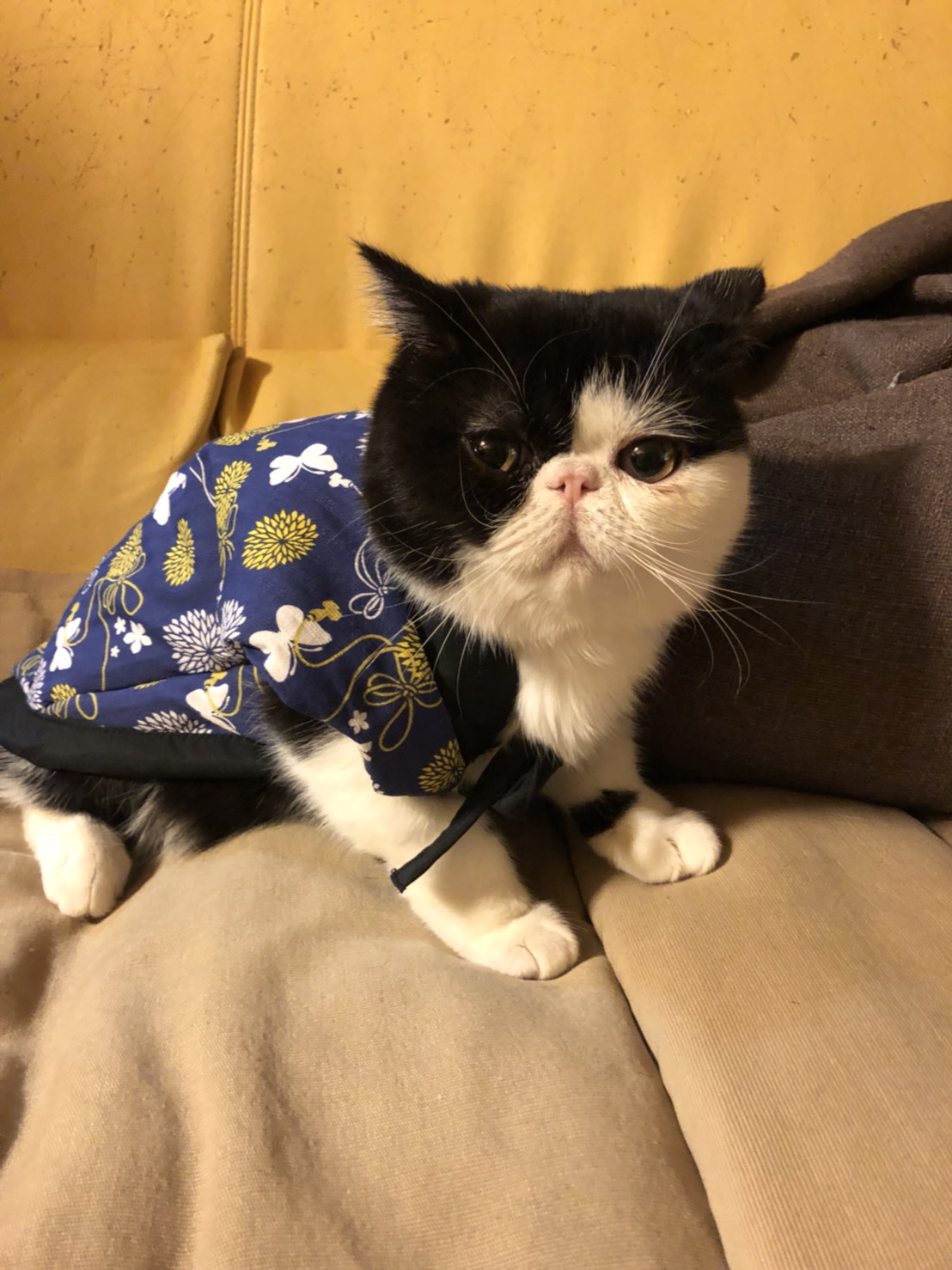 ジャム