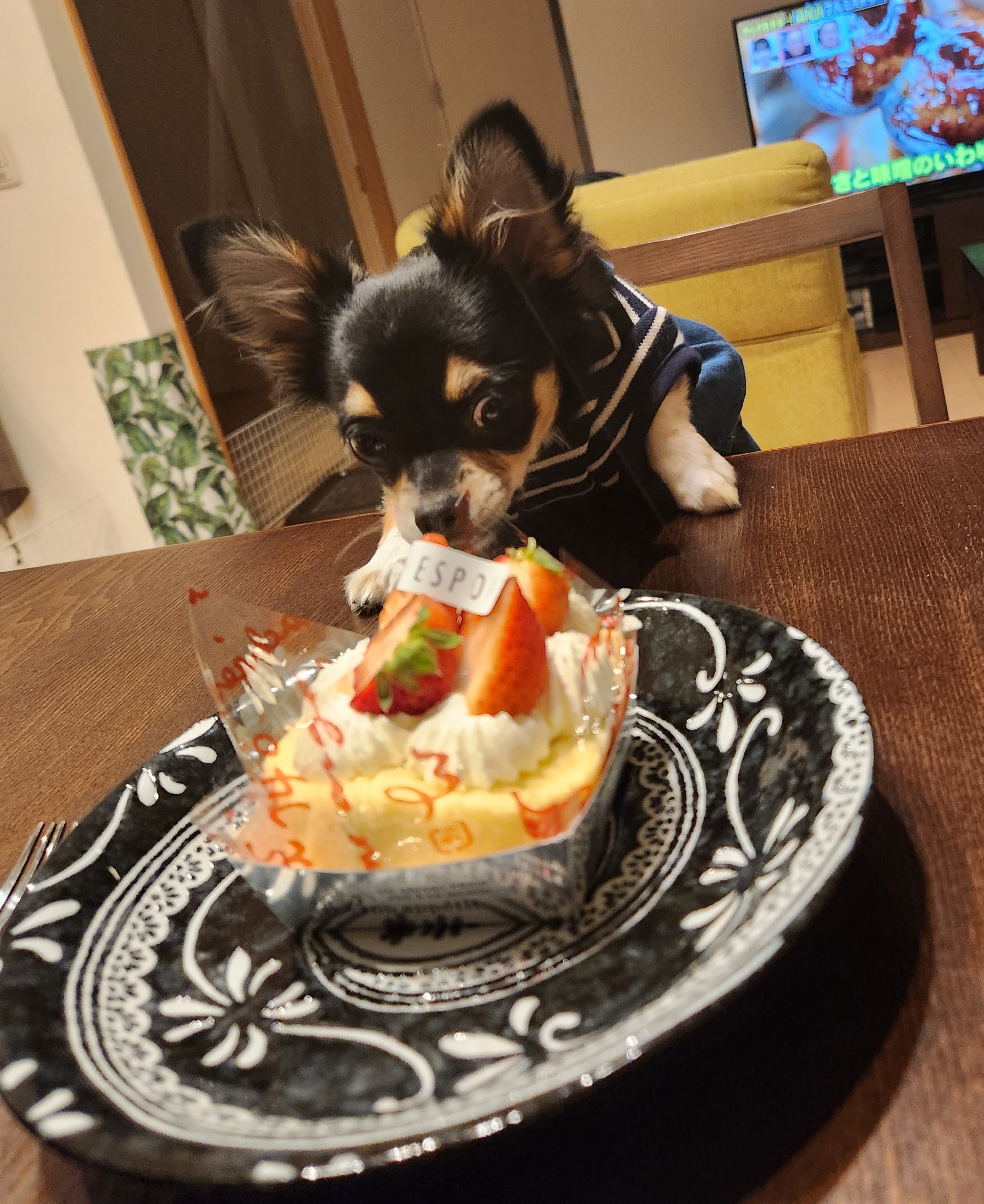 ちー