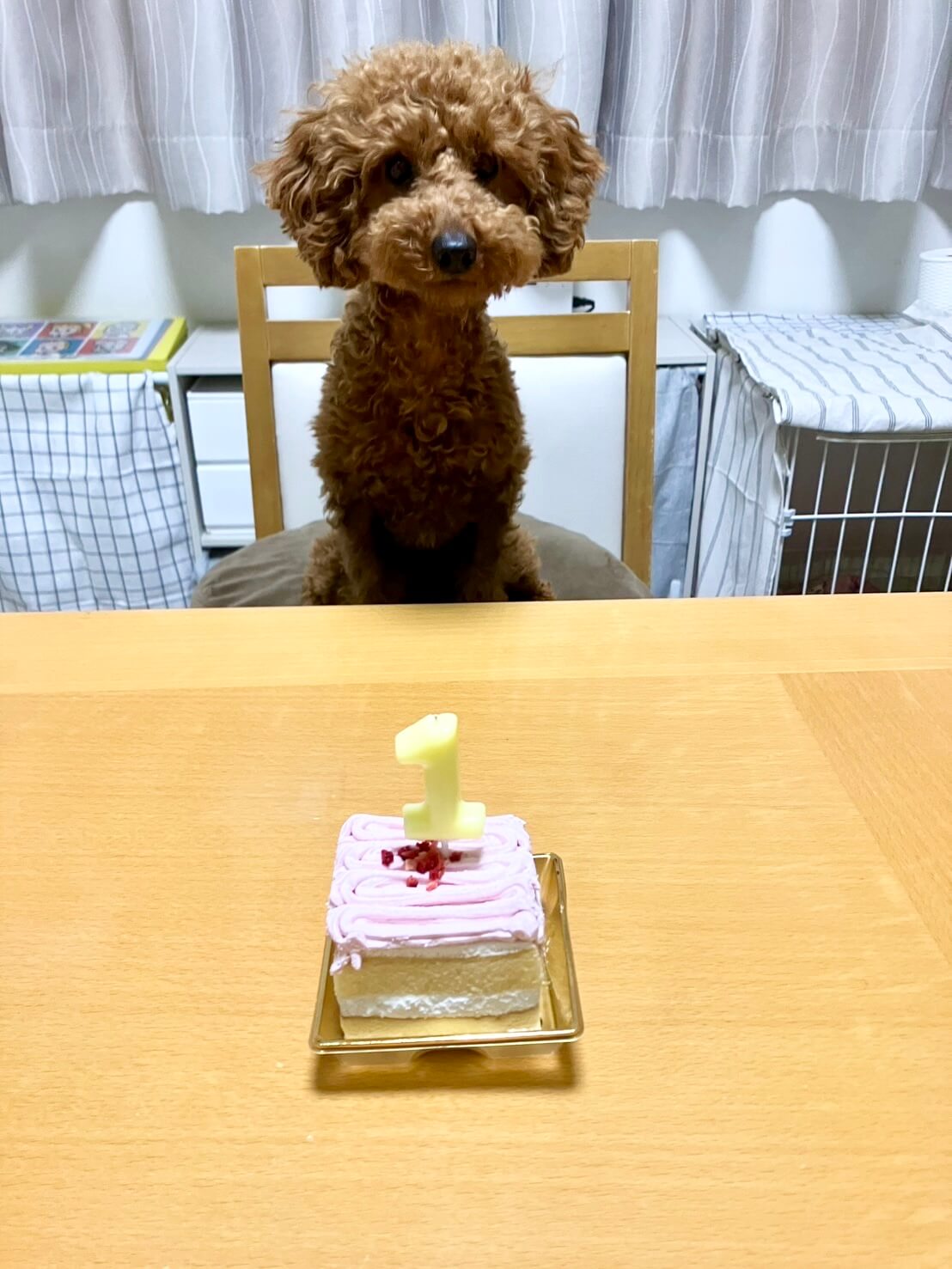 モカ