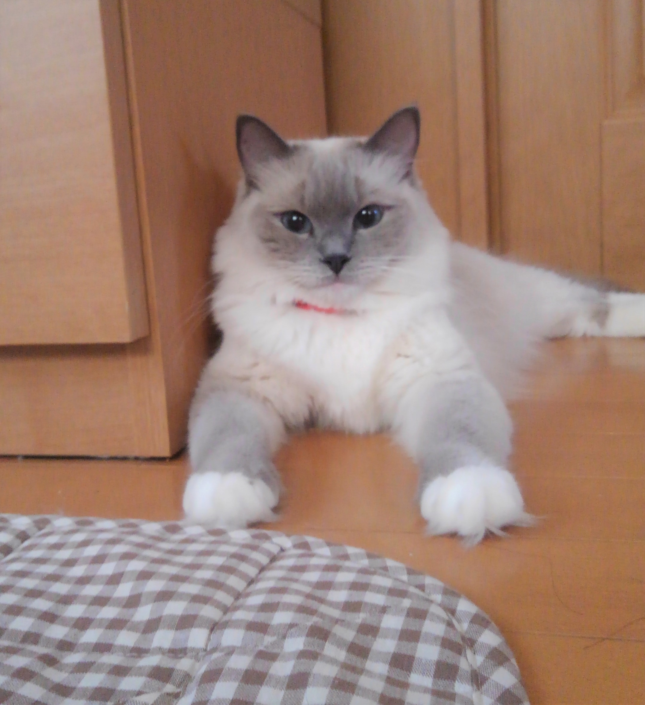CoCo