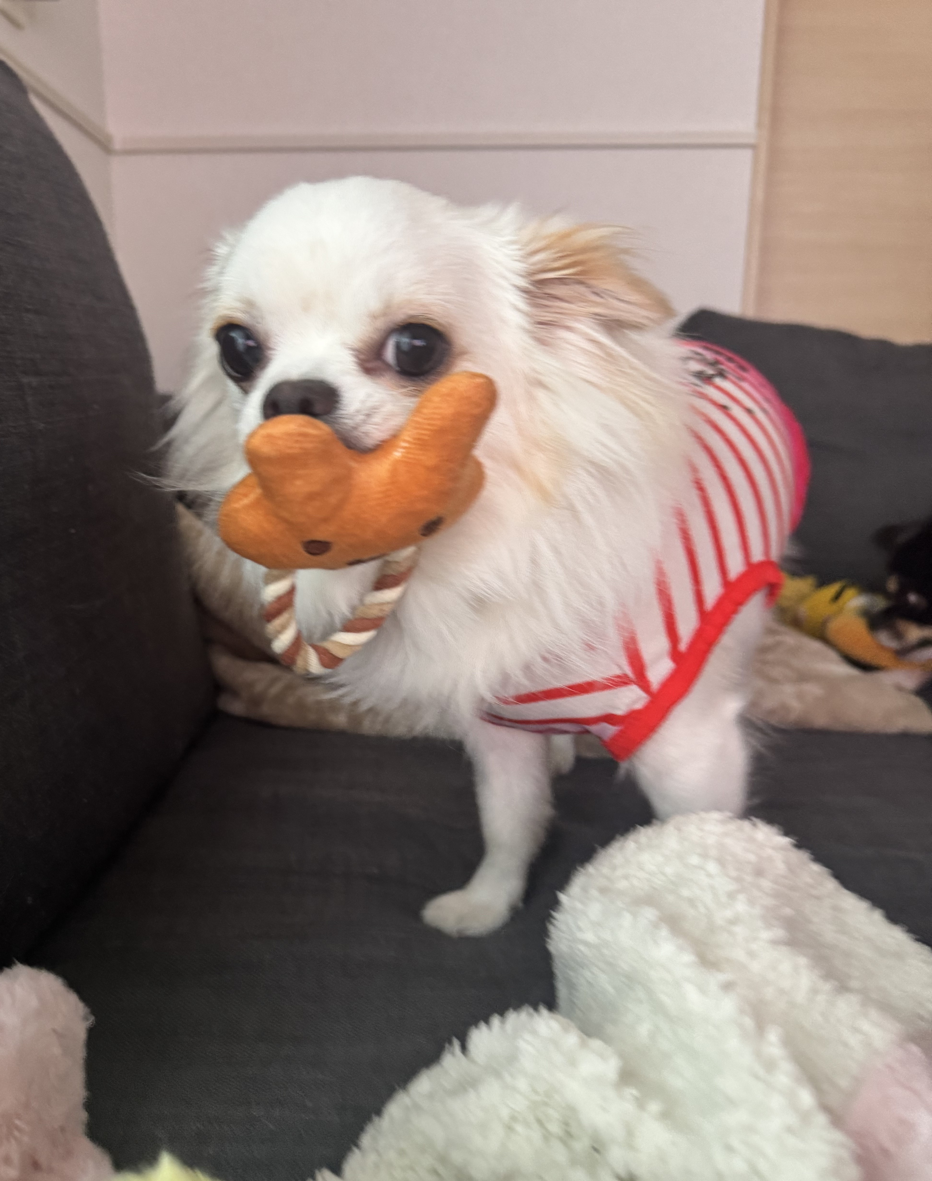 そら