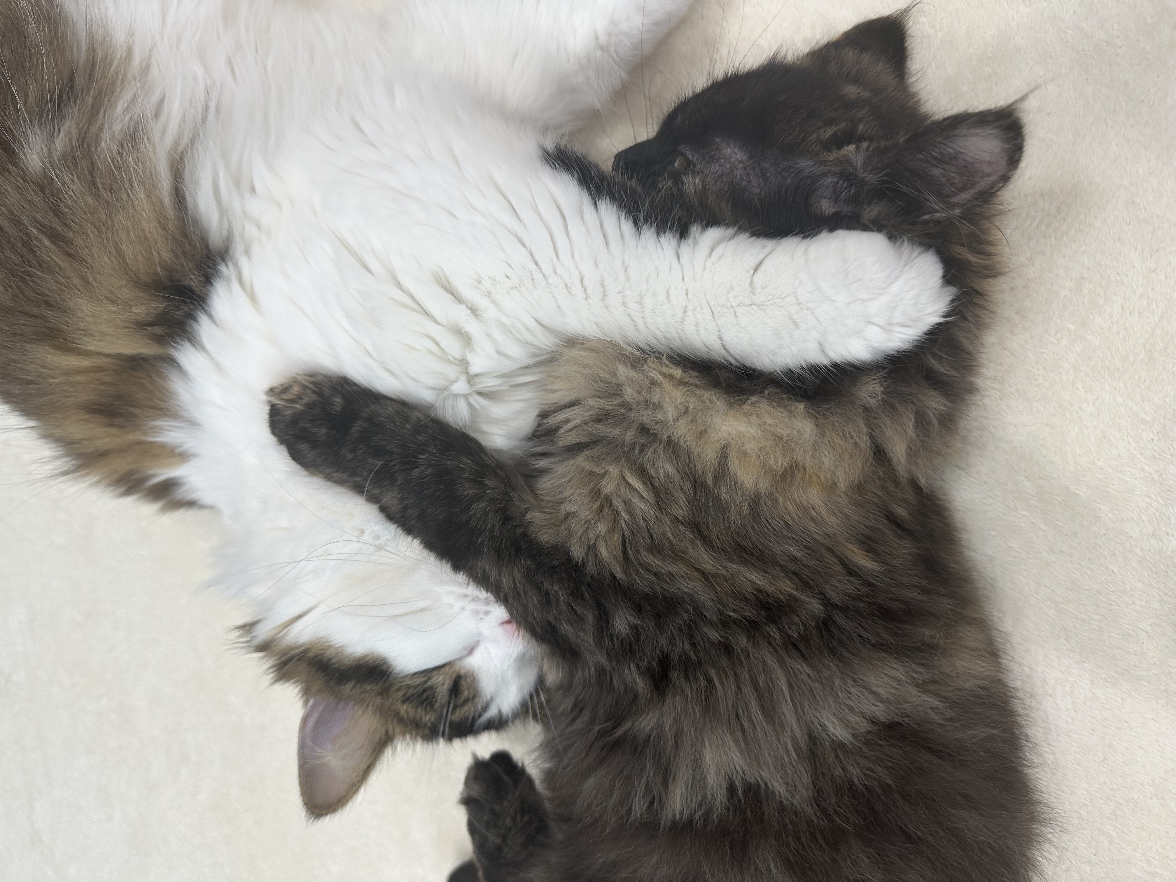 のあ&るな