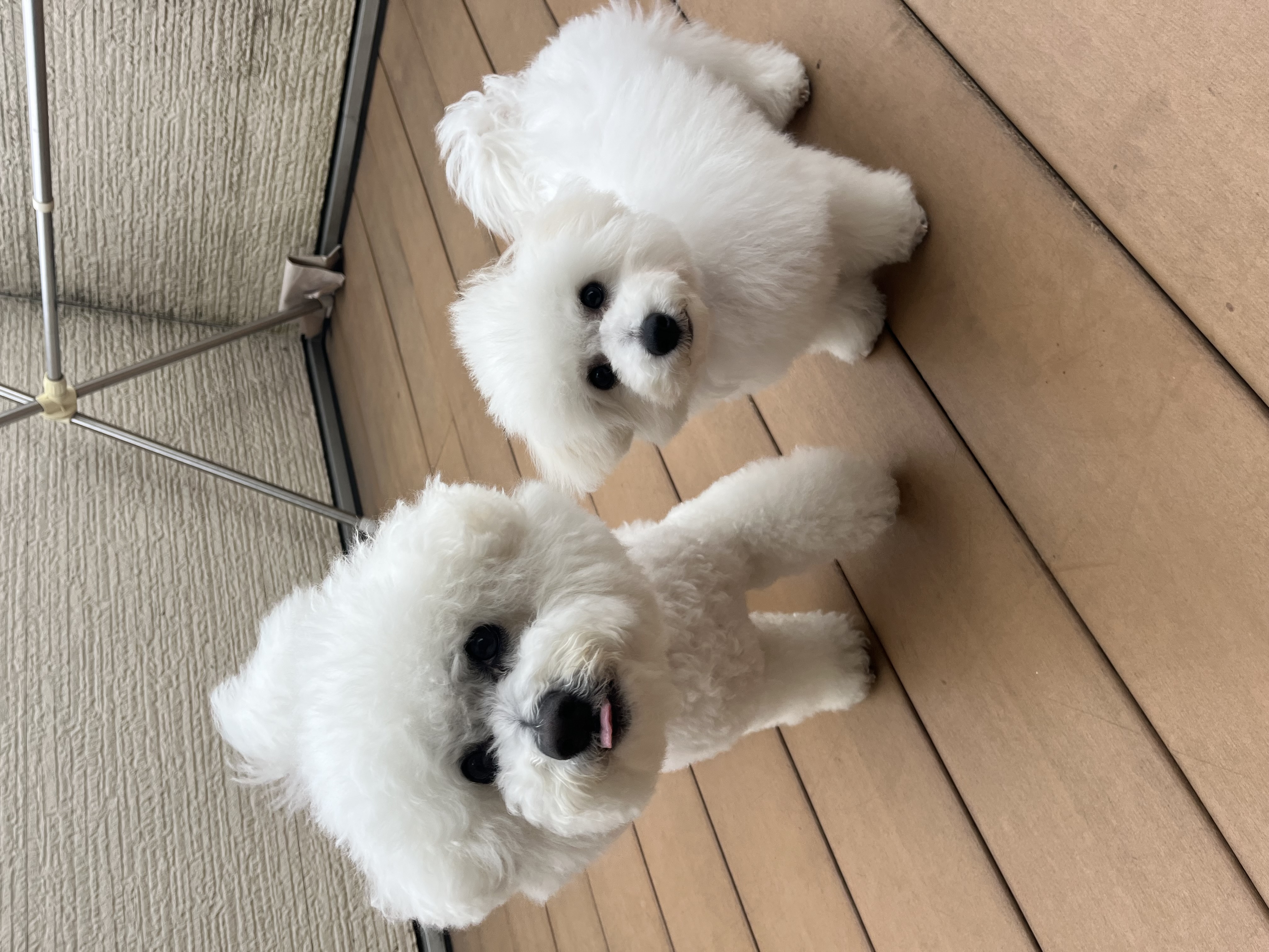NICO&MOCO