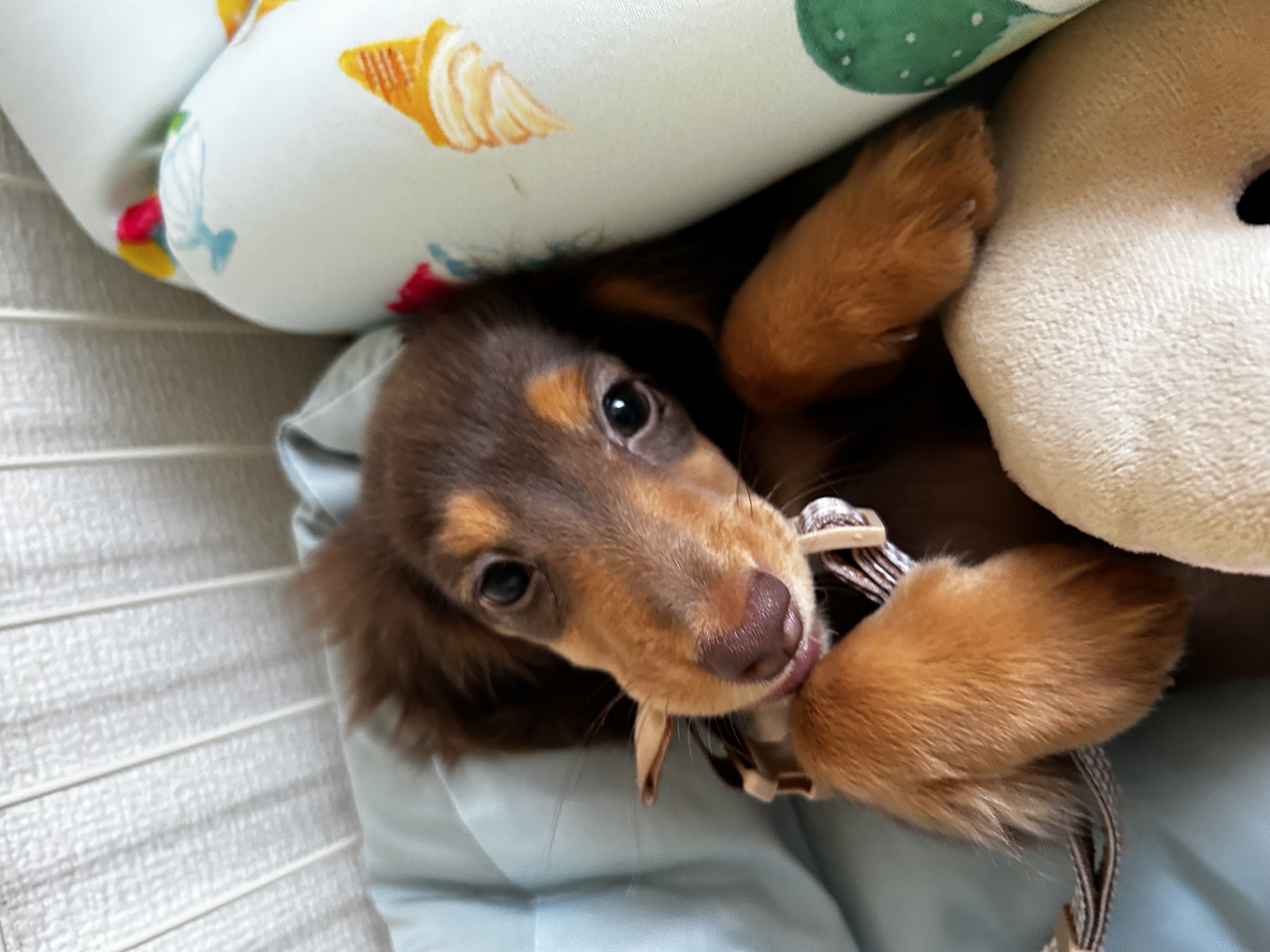 てぃむ