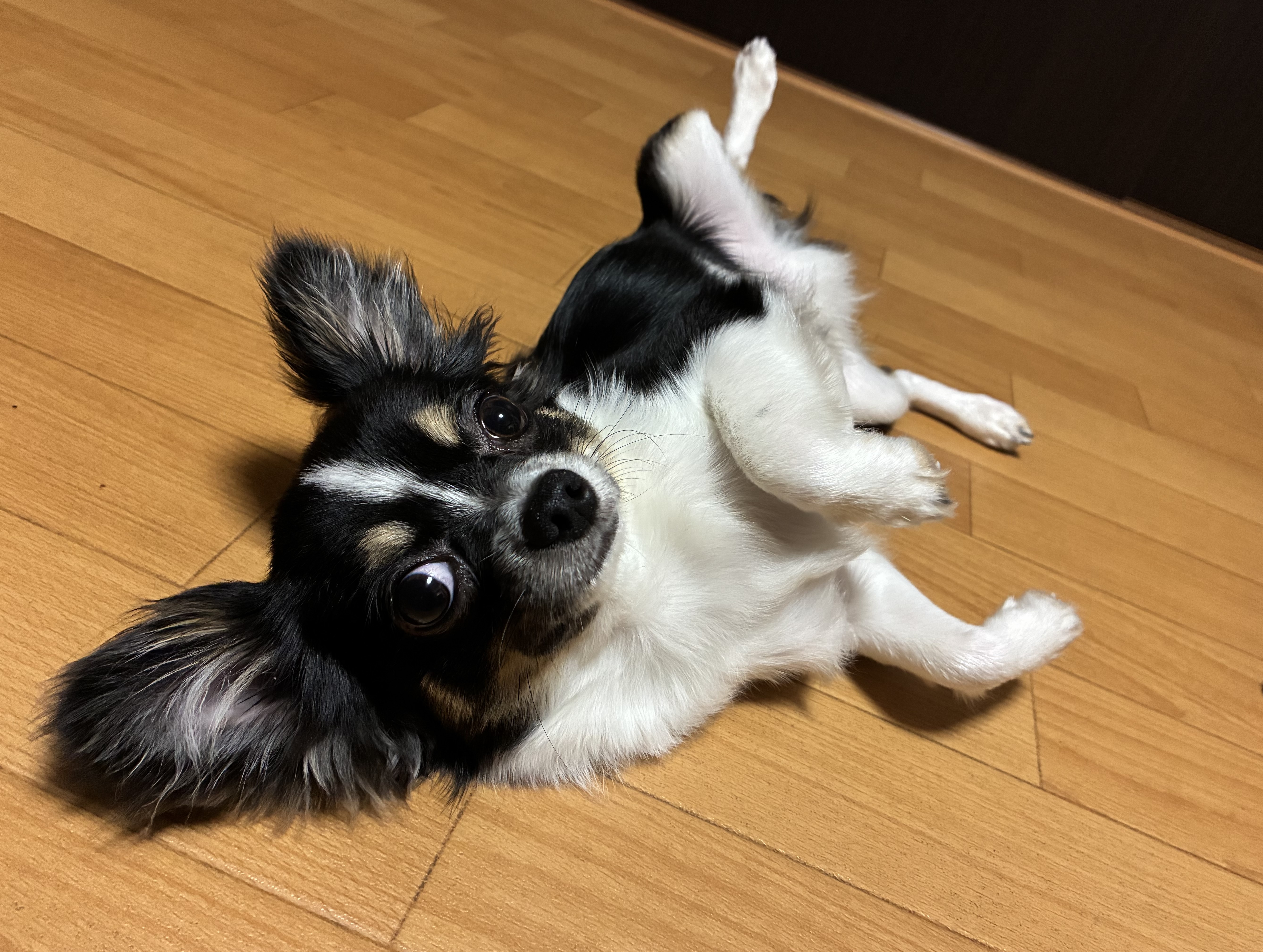 だいふく