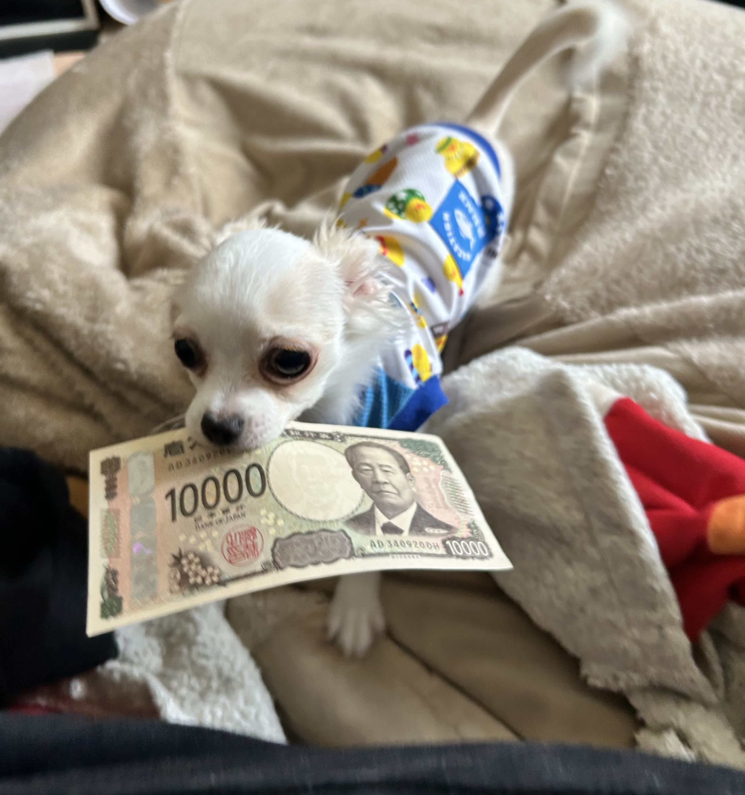 潮