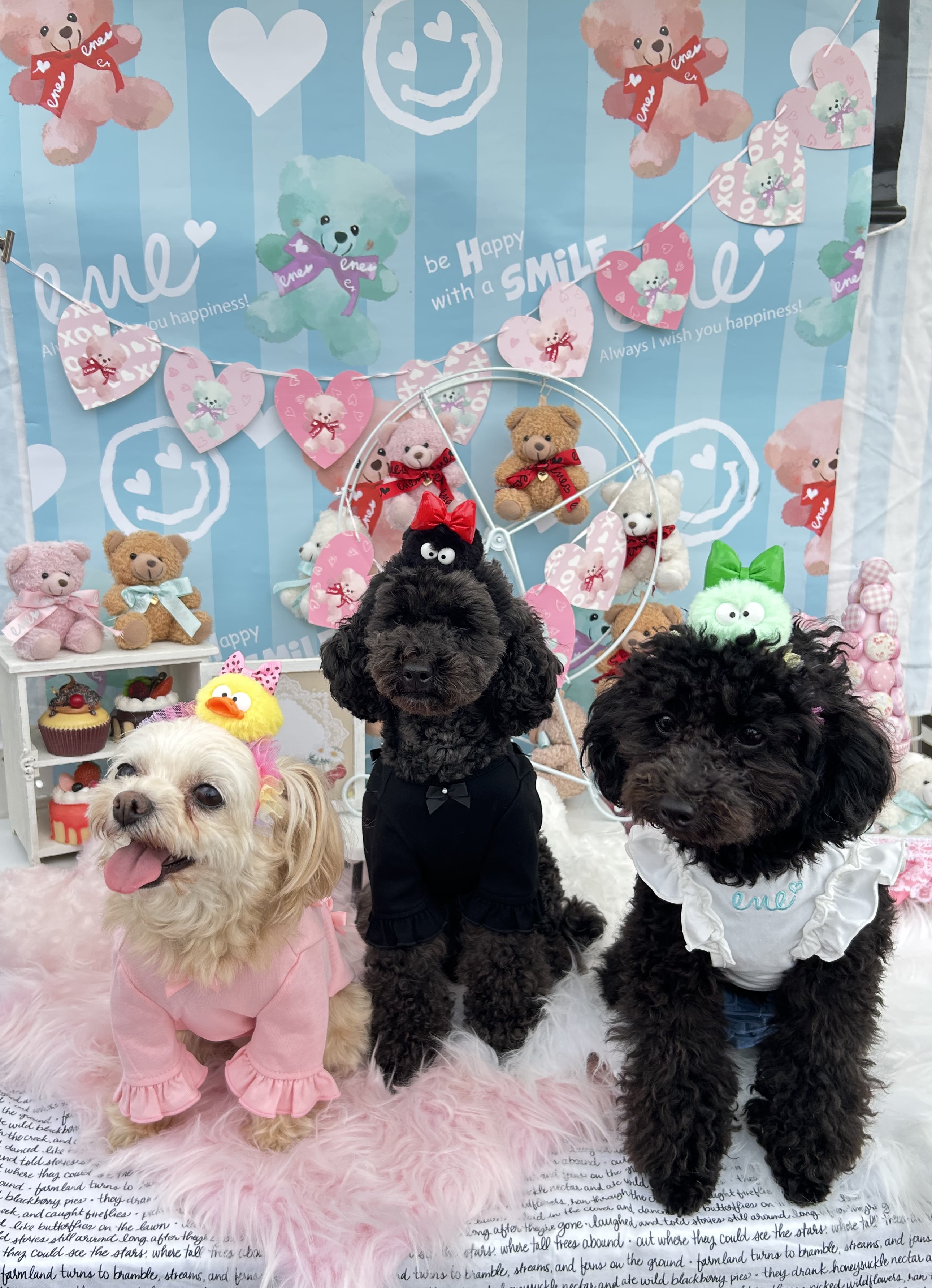 なつめ&こむぎ