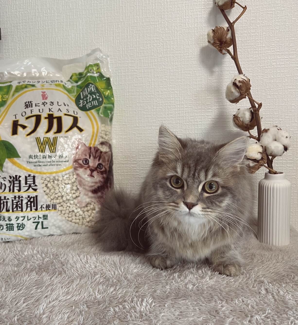 ひまり