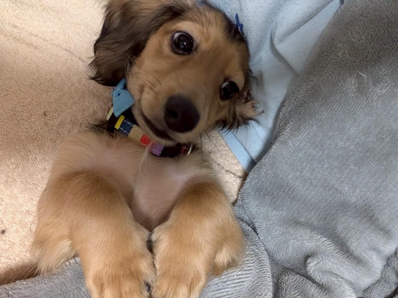 スバル