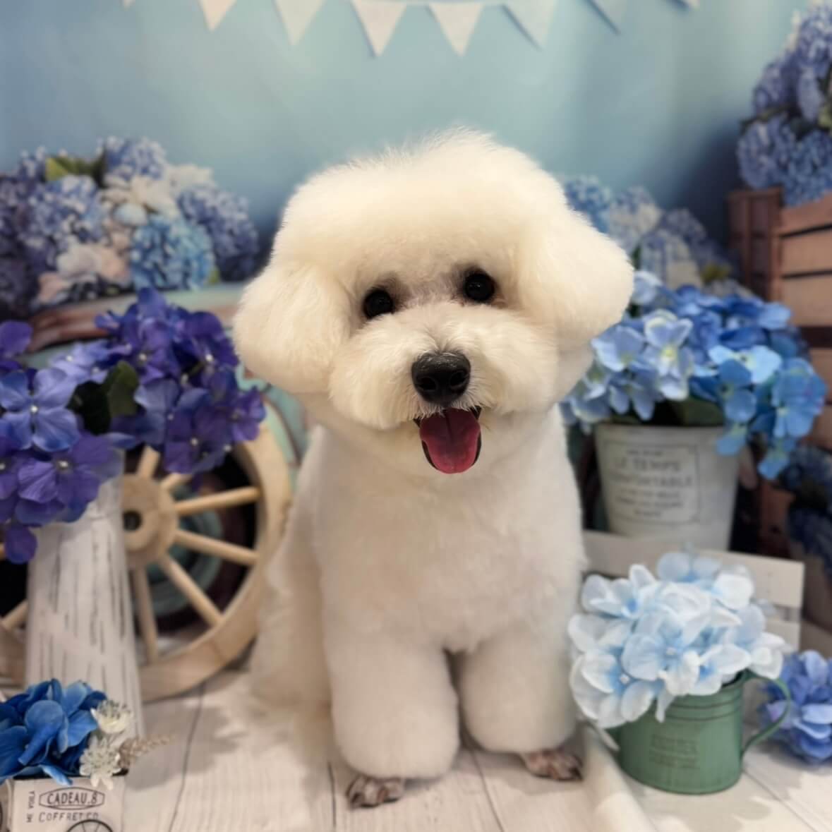 和虎