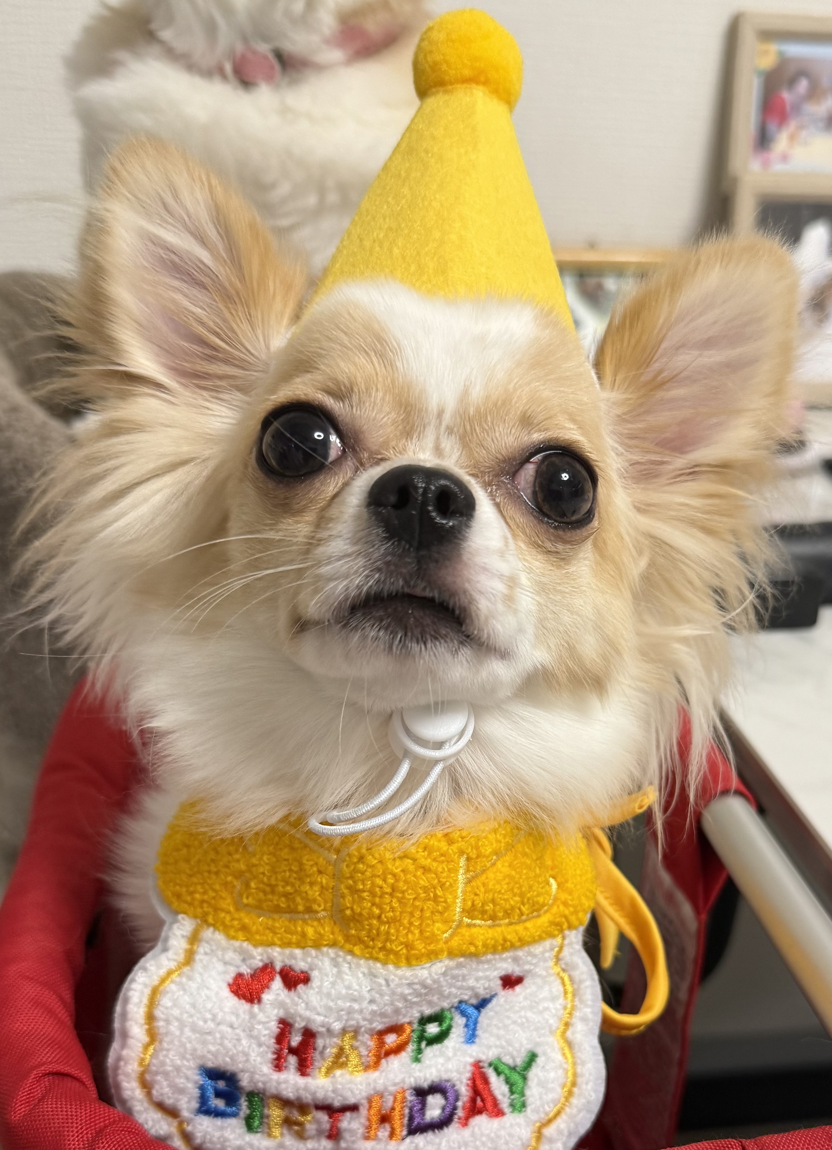 ナナ