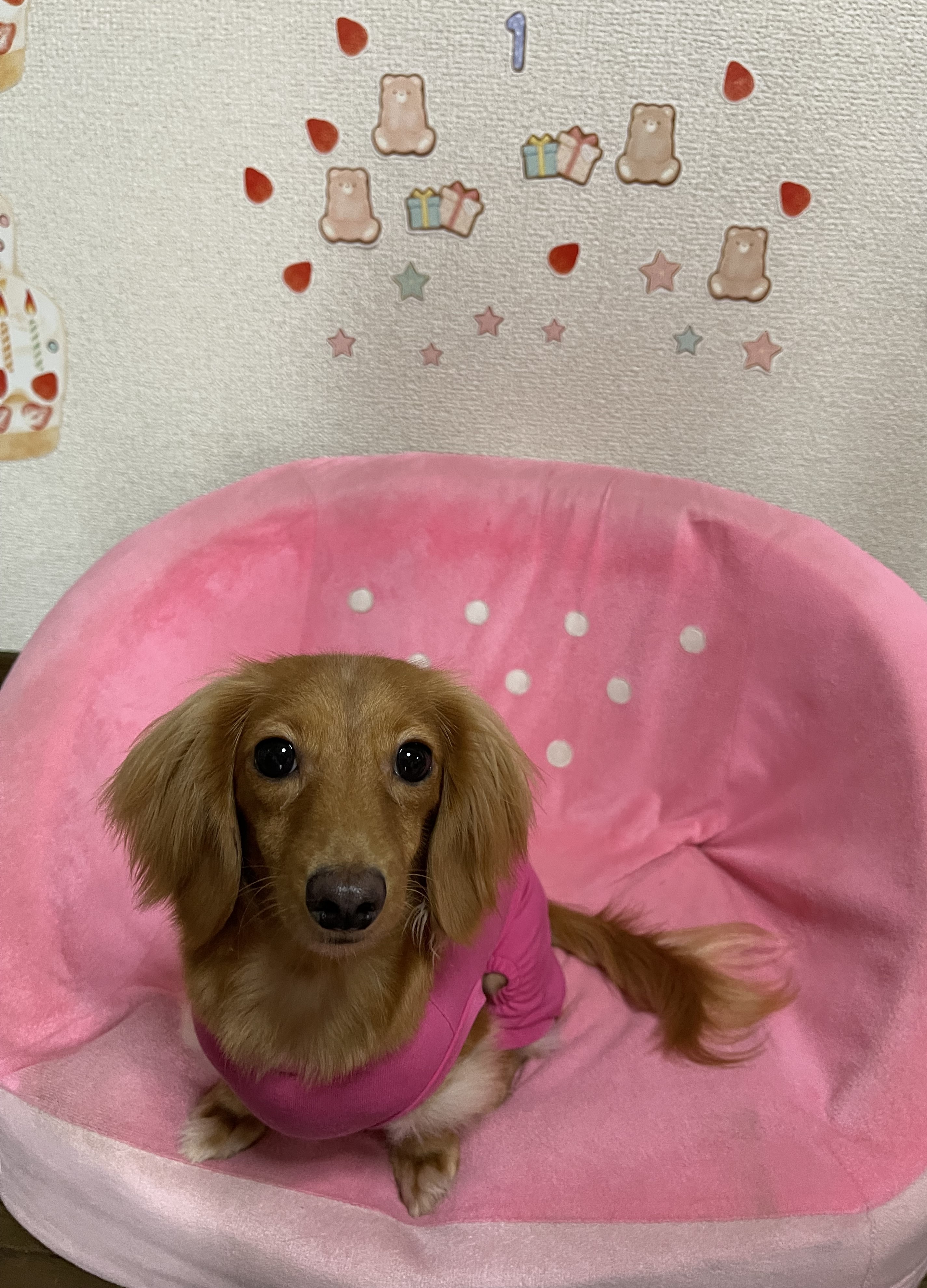 エマ