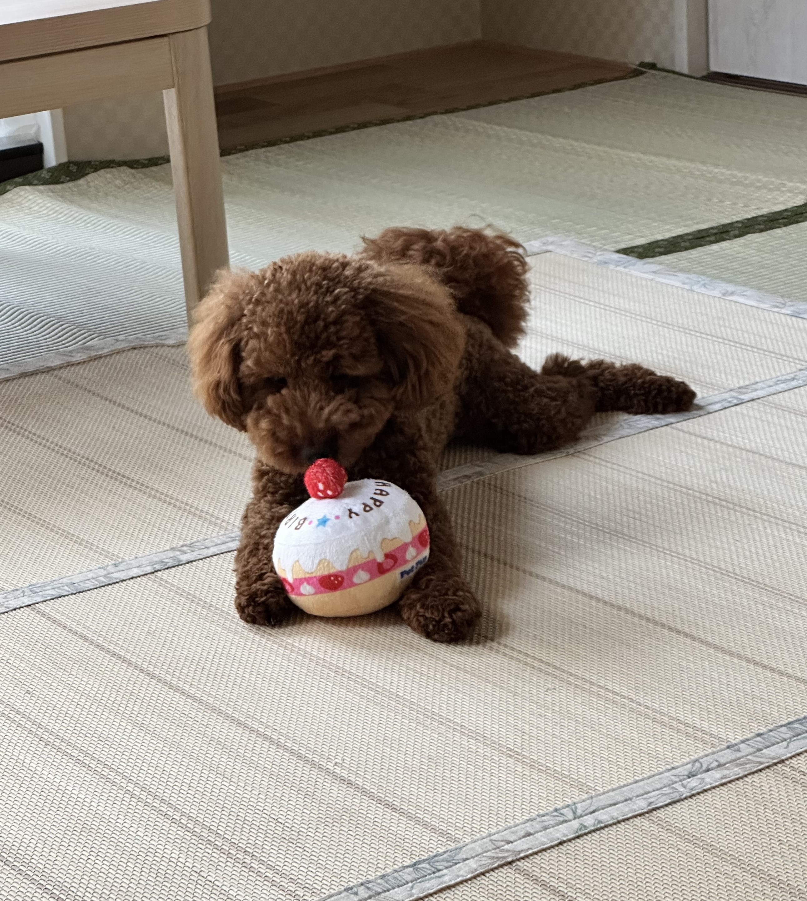 むぅ太