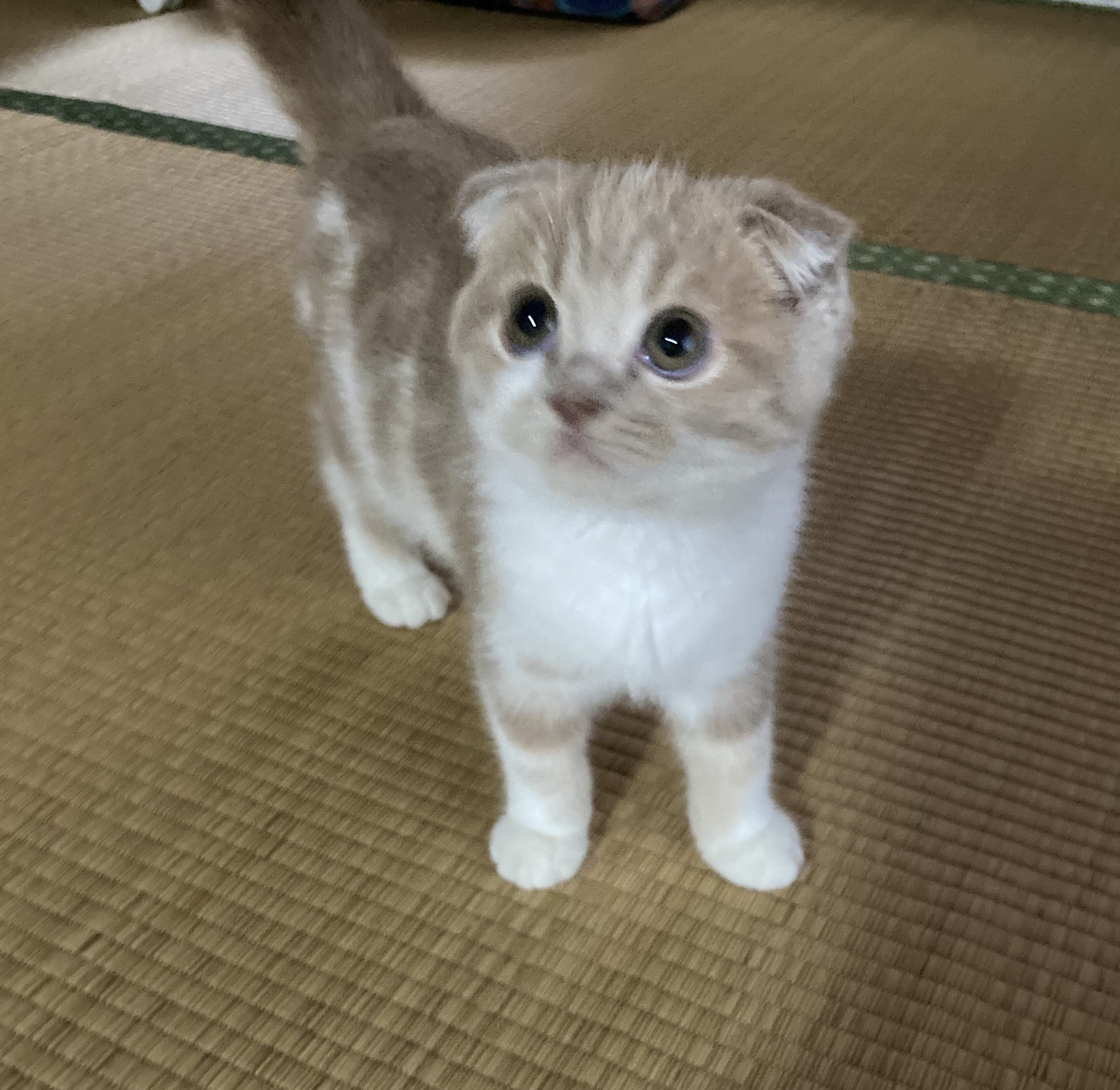 まる