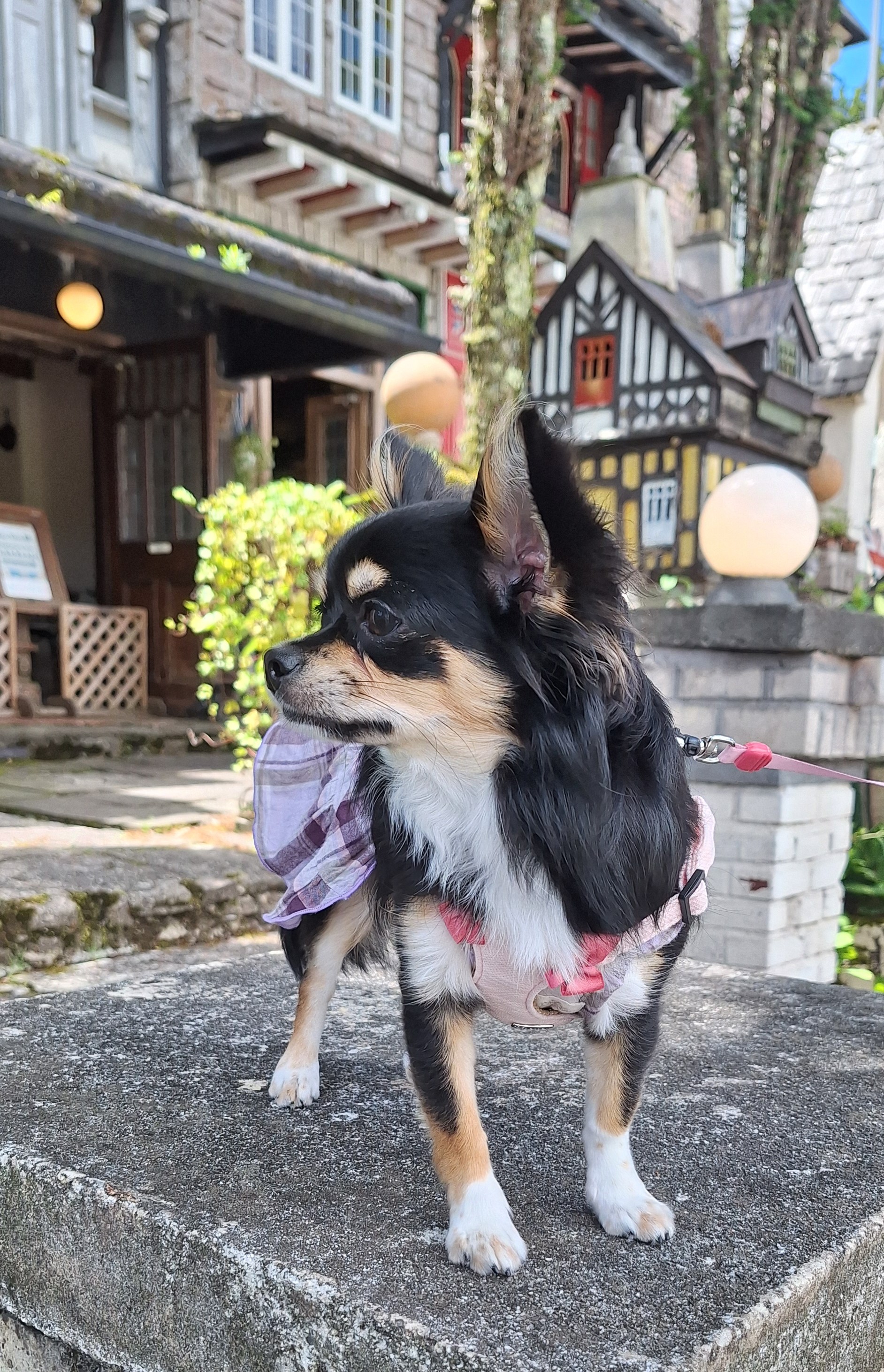 ちー