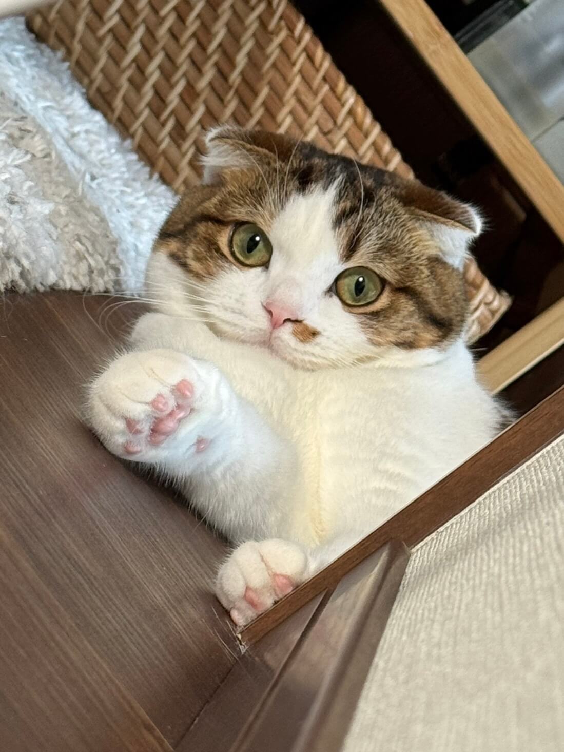 バム