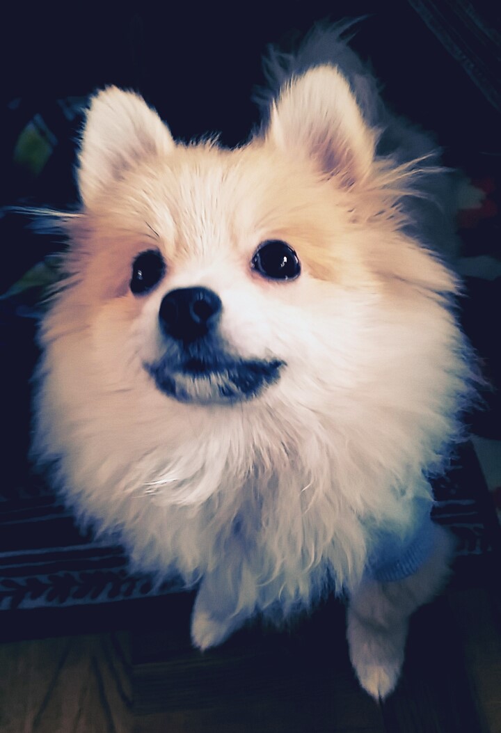 てん