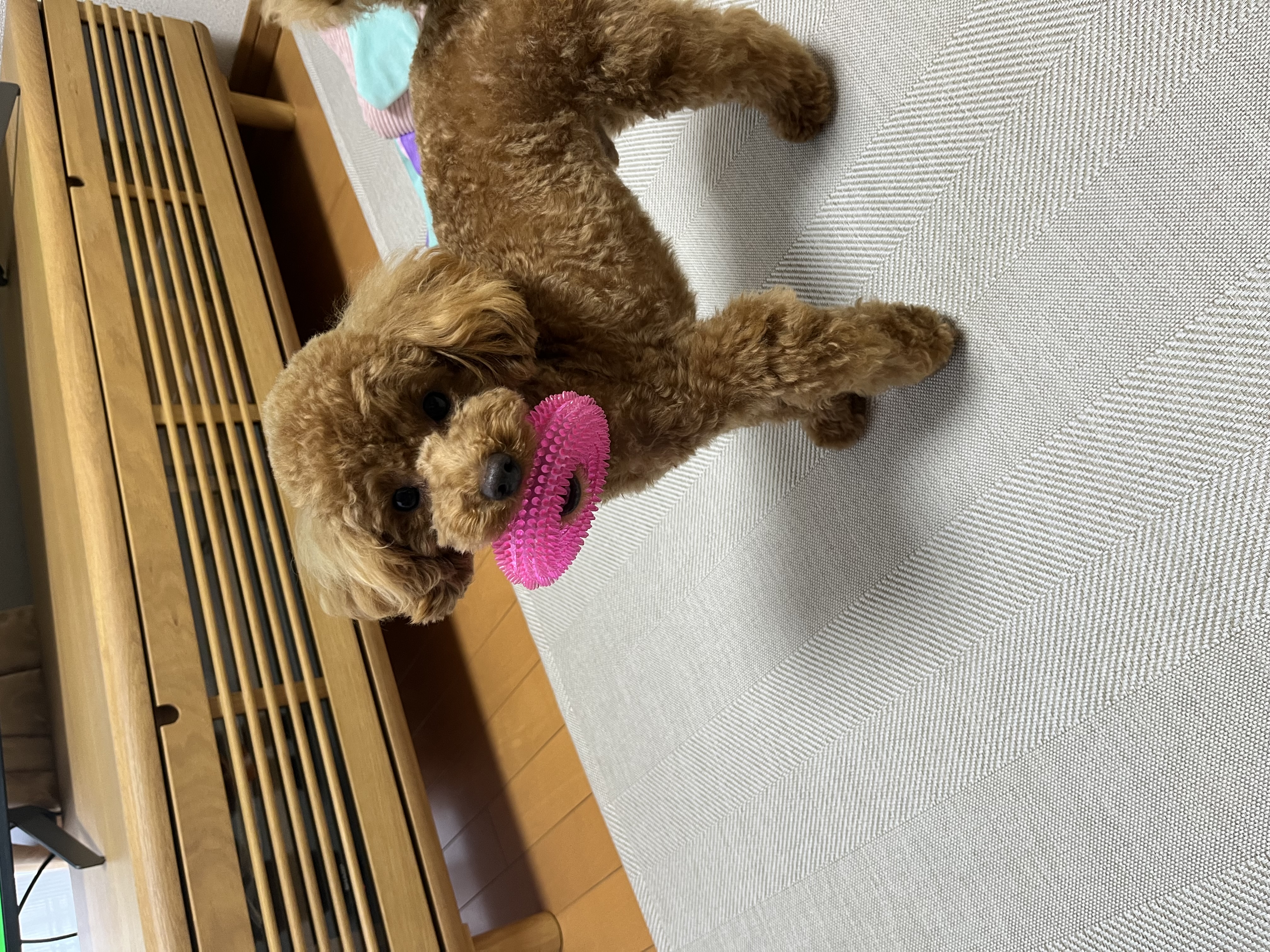 晴