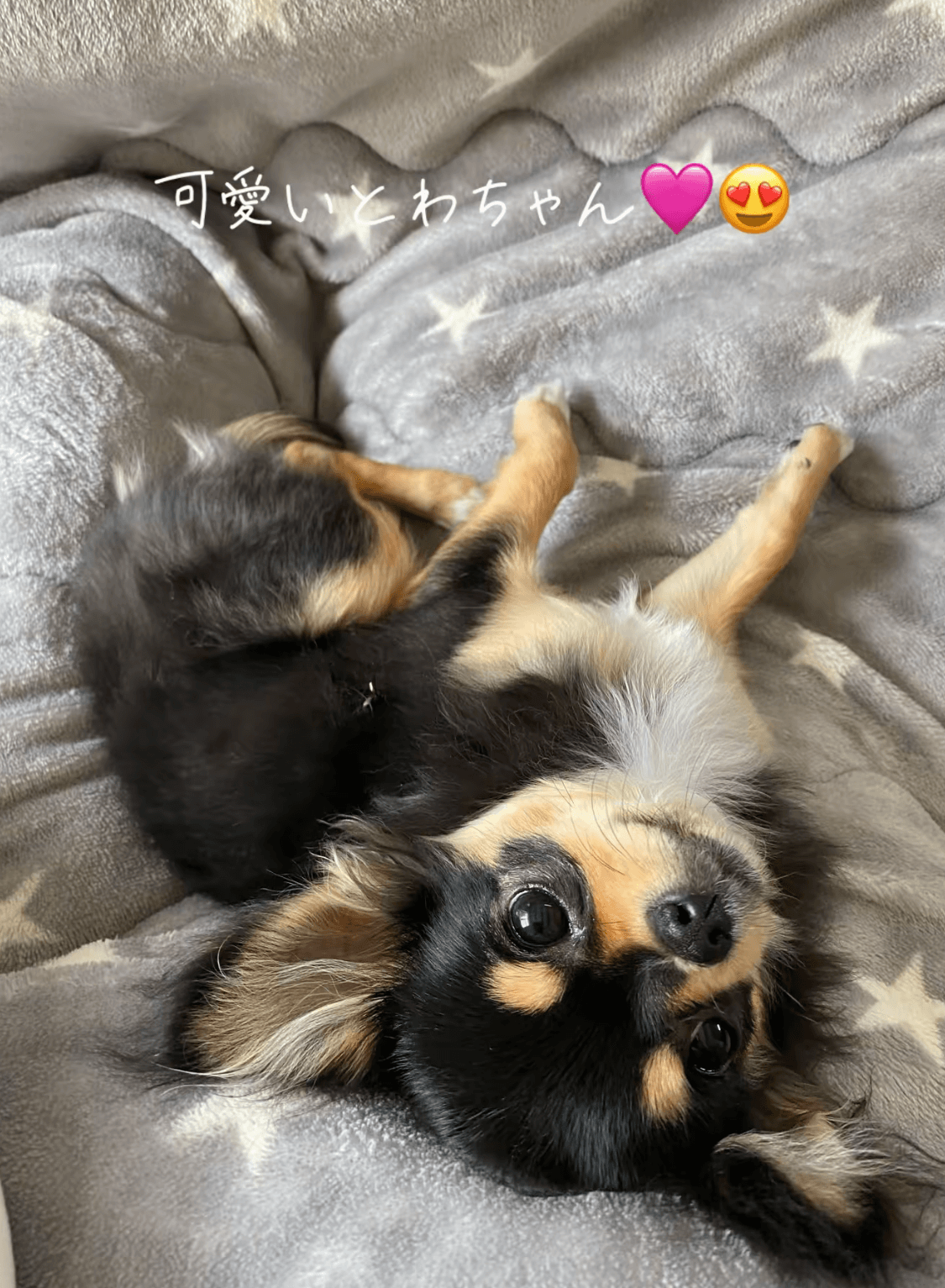 とわ