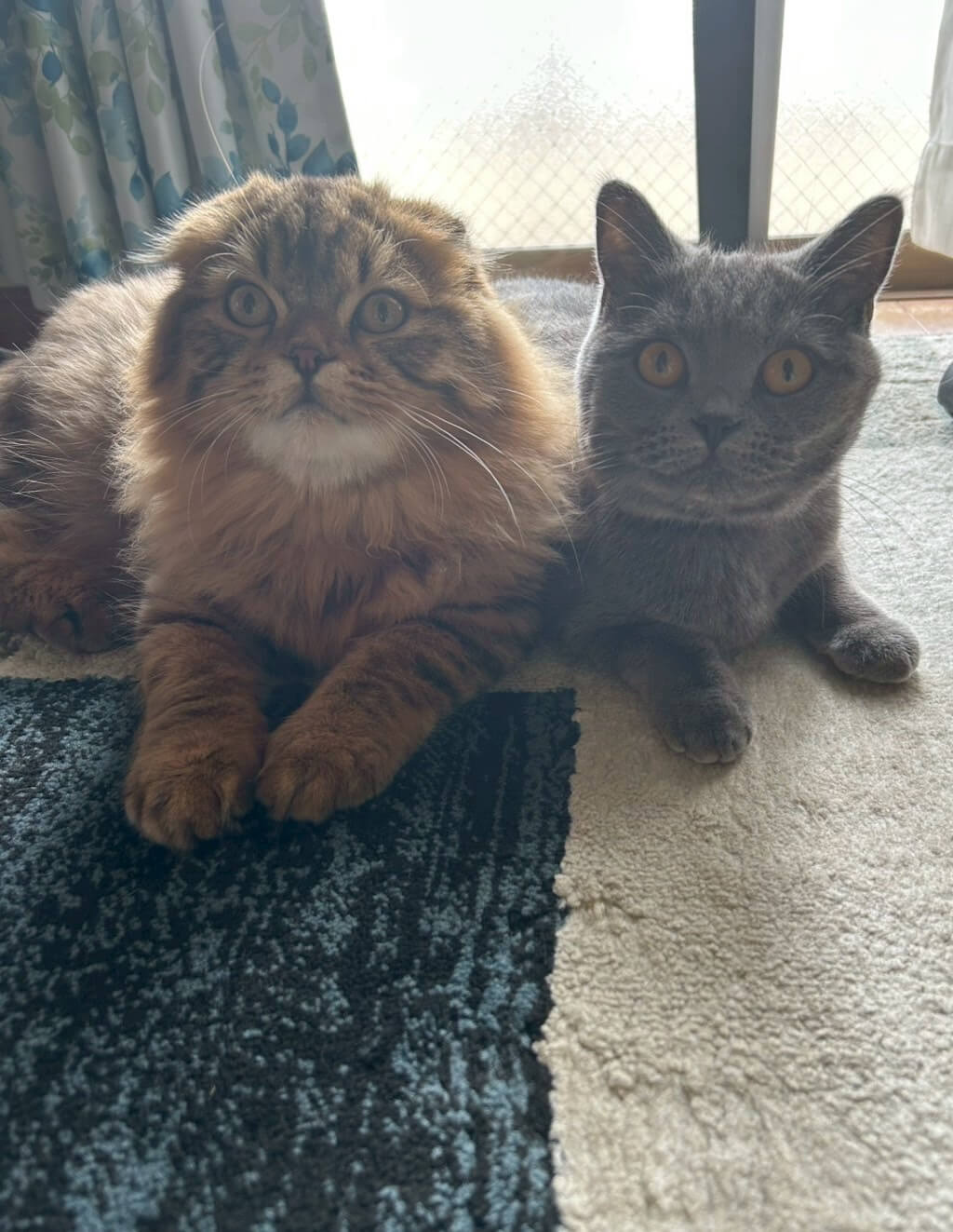 めい&むった