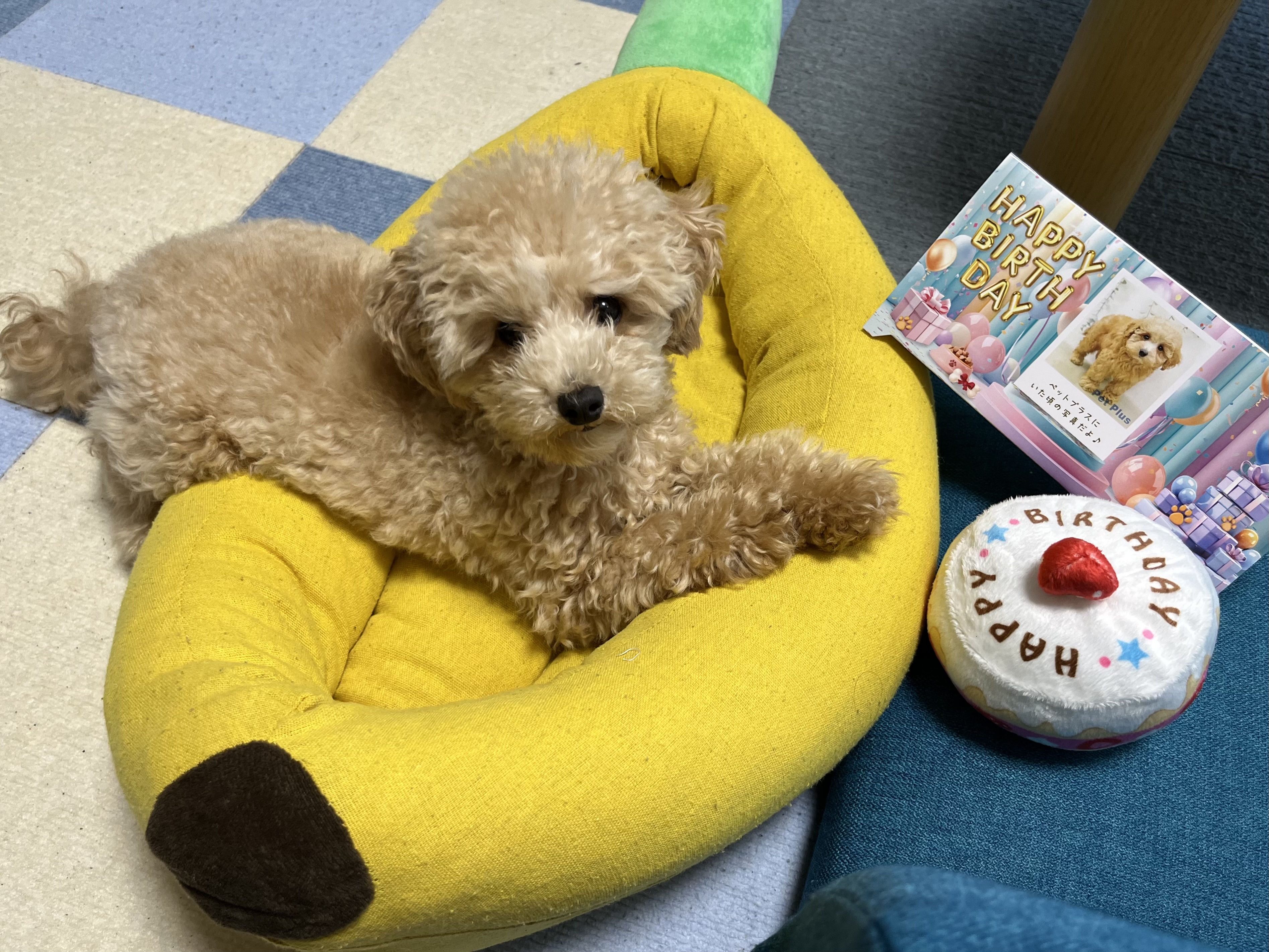 ミル