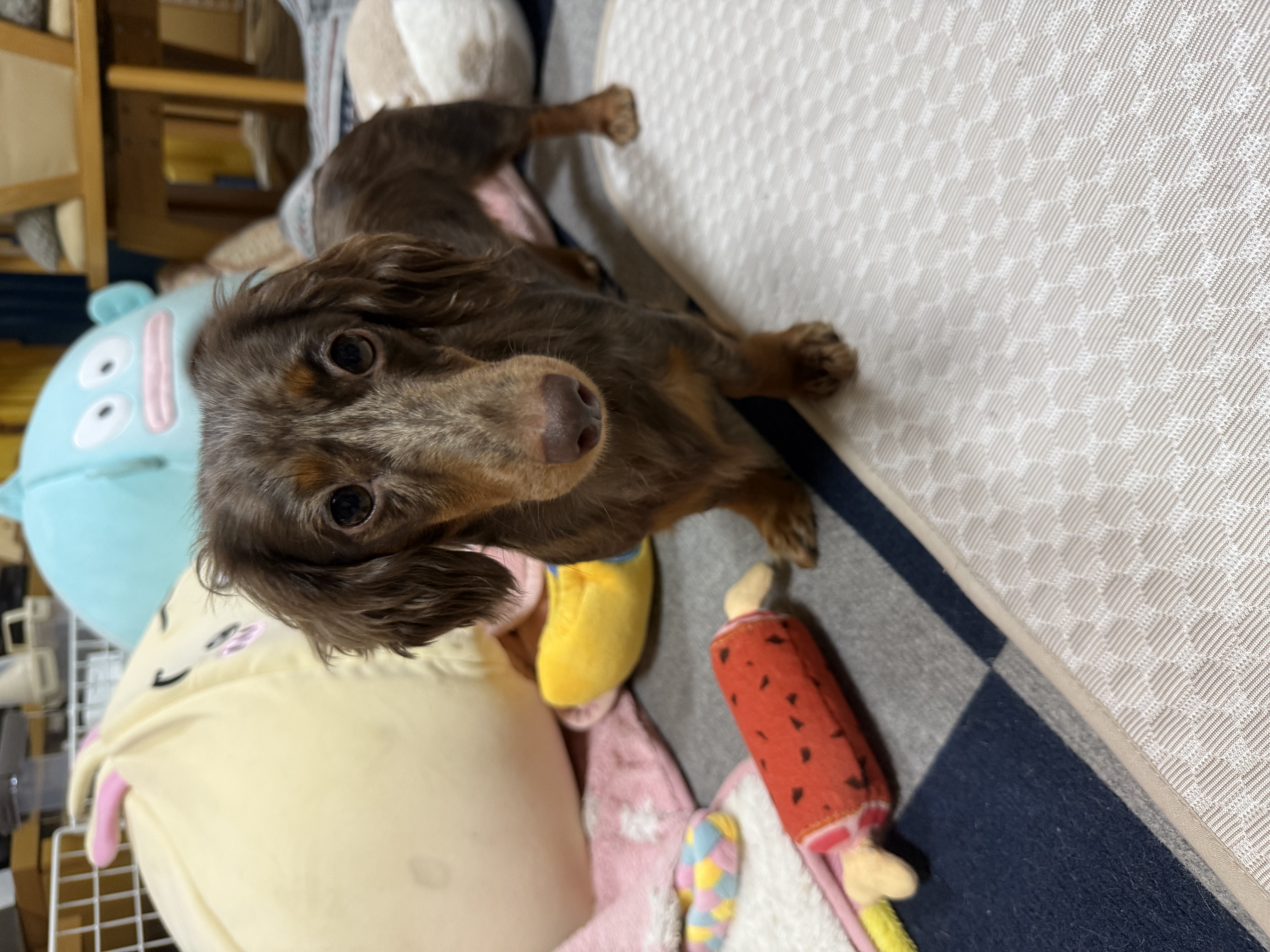 もか