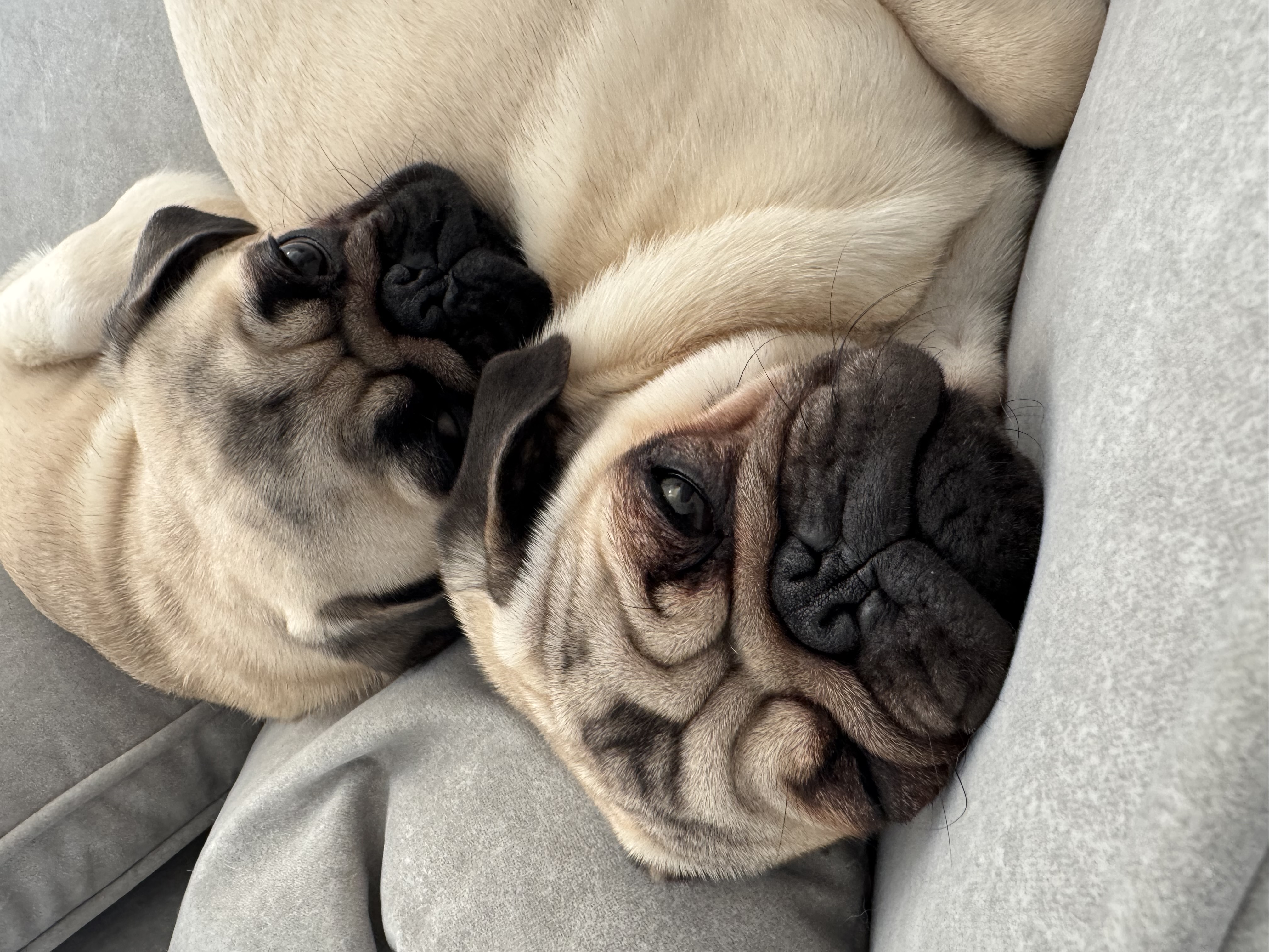 ジロー&サブロー